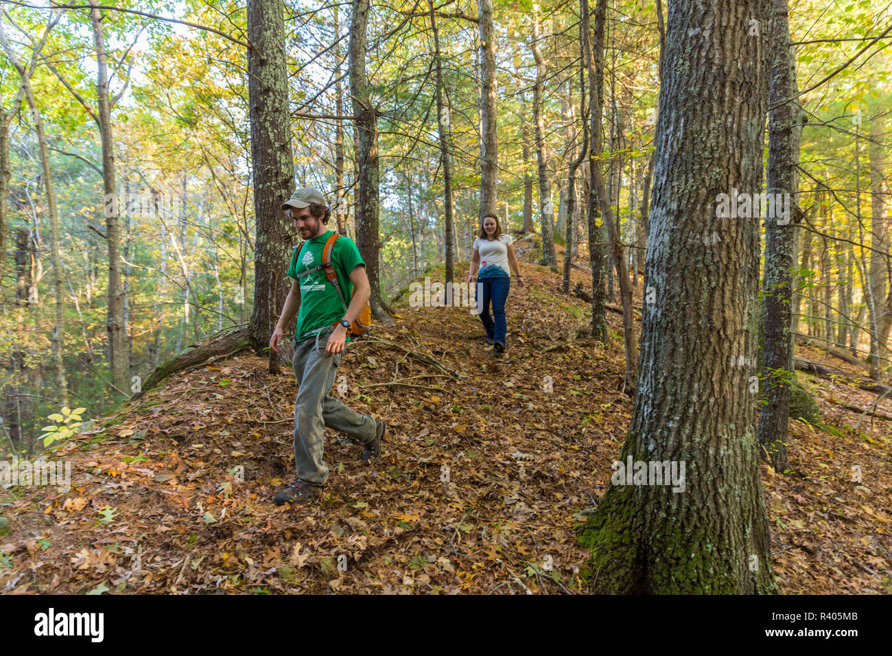 Junge Mann und die Frau zu Fuß in den Wäldern in Wellesley, Massachusetts. Hoyt-Hall bewahren. (MR) Stockfoto