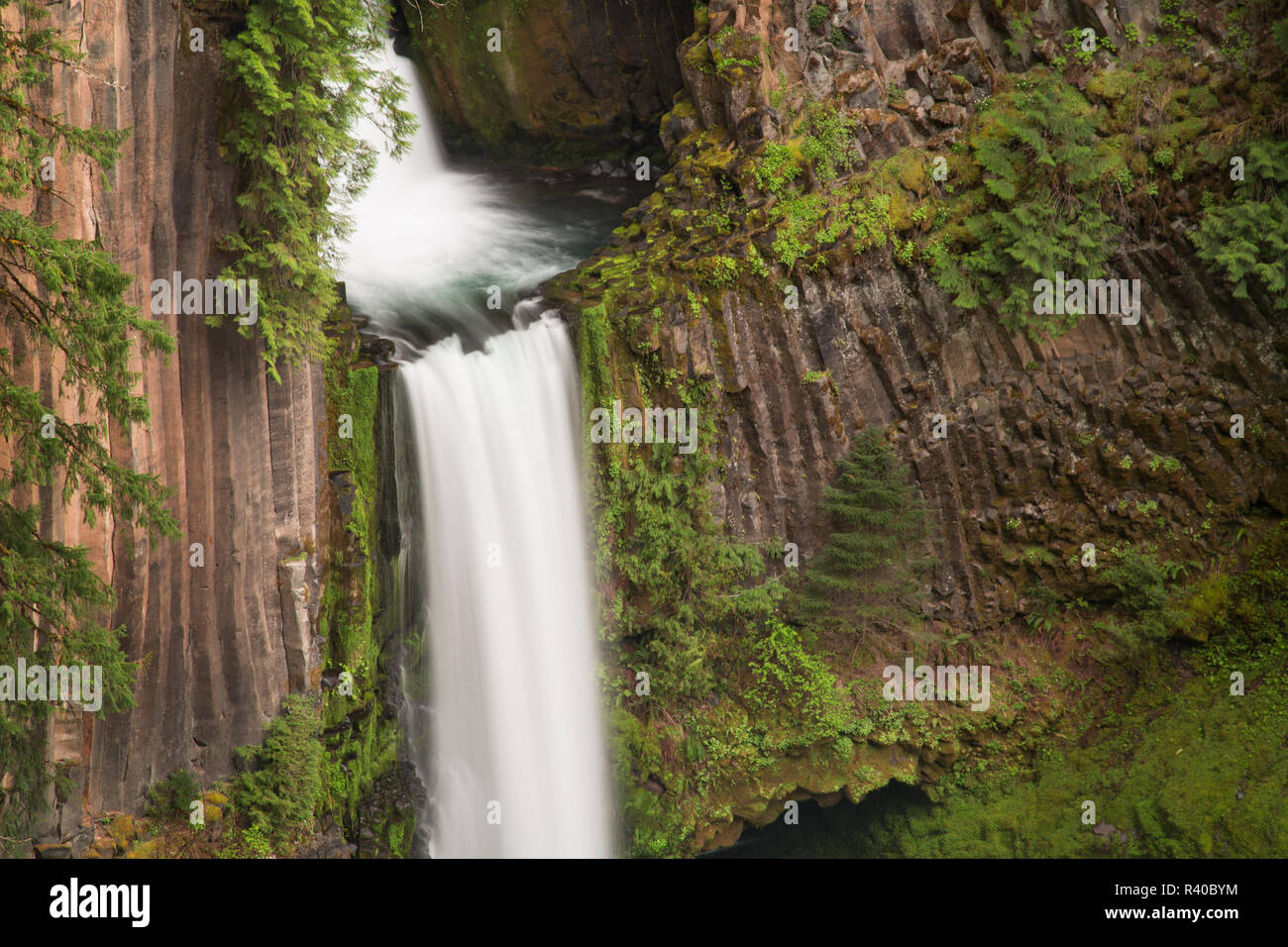 USA, Oregon, Umpqua National Forest. Basaltsäulen und Toketee fällt. Stockfoto