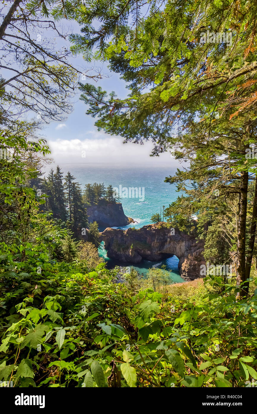 USA, Oregon, Natural Bridges. Ocean Küstenlinie und Wald landschaft. Credit: Fred Herr/Jaynes Galerie/DanitaDelimont.com Stockfoto