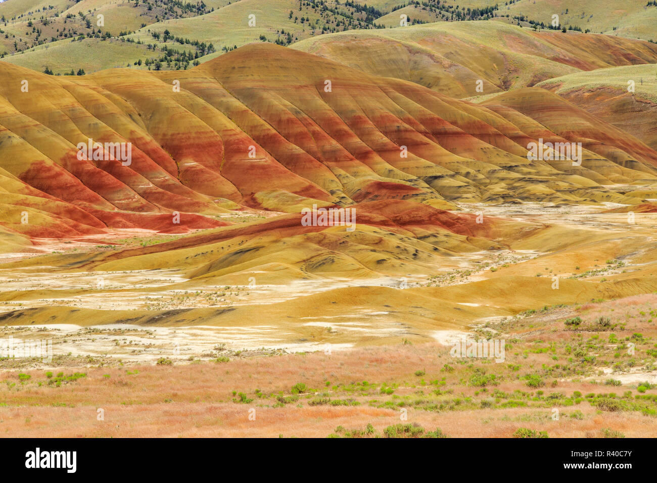 USA, Oregon, Redmond, Bend, Mitchell. Serie von niedrigen Hügel gestreift in bunten Bänder von Mineralien, Asche- und tonvorkommen. Stockfoto