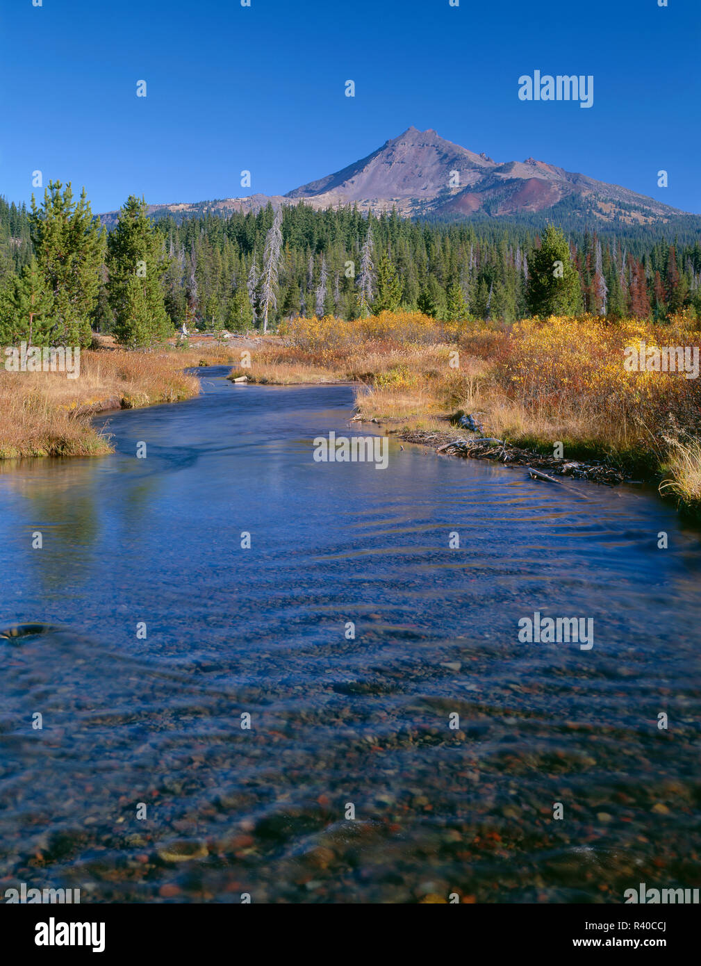 USA, Oregon, Deschutes National Forest, Südseite des gebrochen oben erhebt sich jenseits Herbst gefärbte Weiden und Gräser entlang Fall Creek. Stockfoto