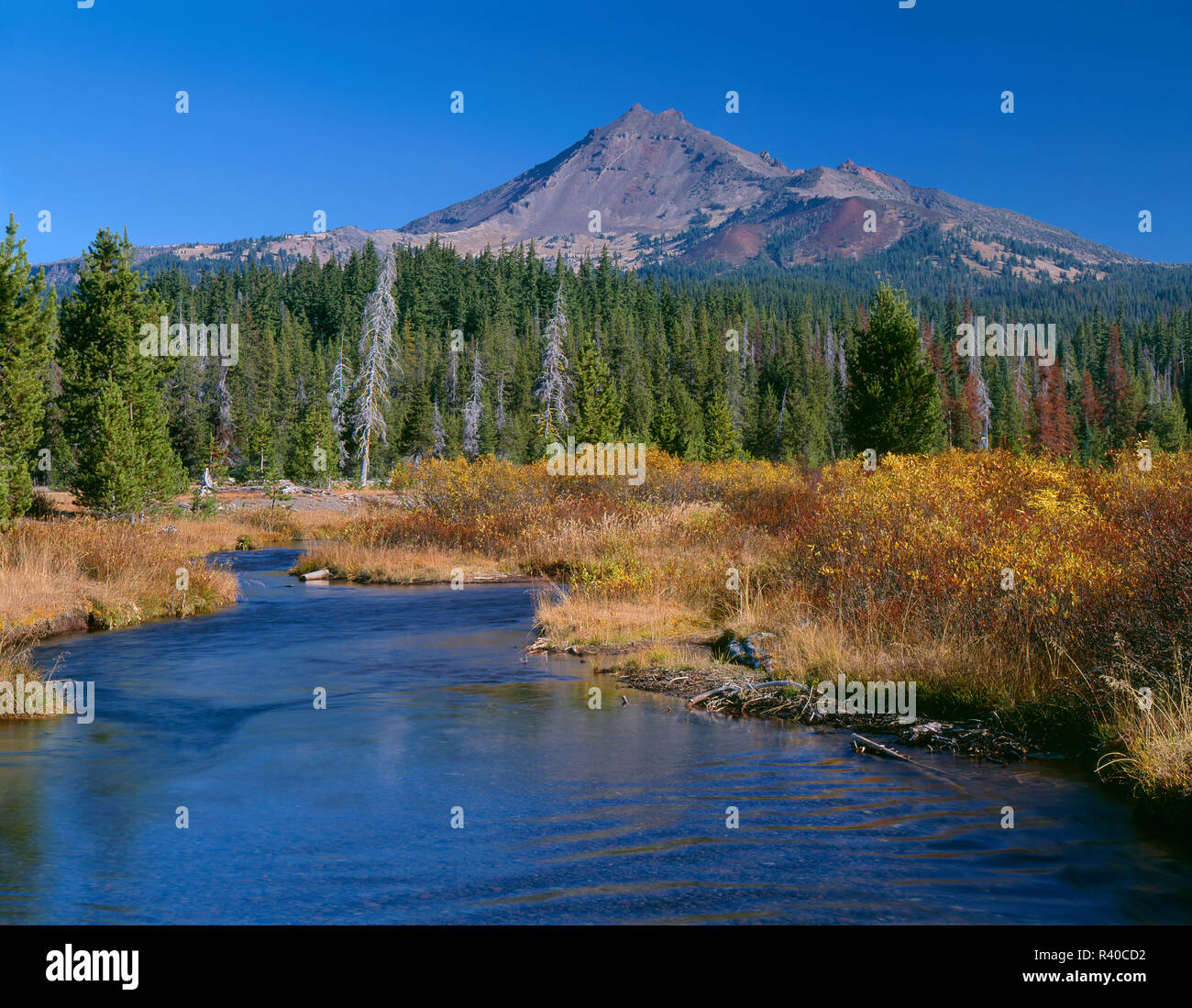 USA, Oregon, Deschutes National Forest, Südseite des gebrochen oben erhebt sich jenseits Herbst gefärbte Weiden und Gräser entlang Fall Creek. Stockfoto