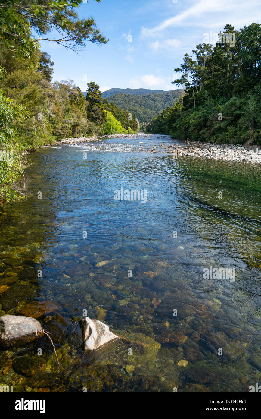 Malerische Anatoki Fluss und Bush umgibt vertikalen Zusammensetzung Stockfoto