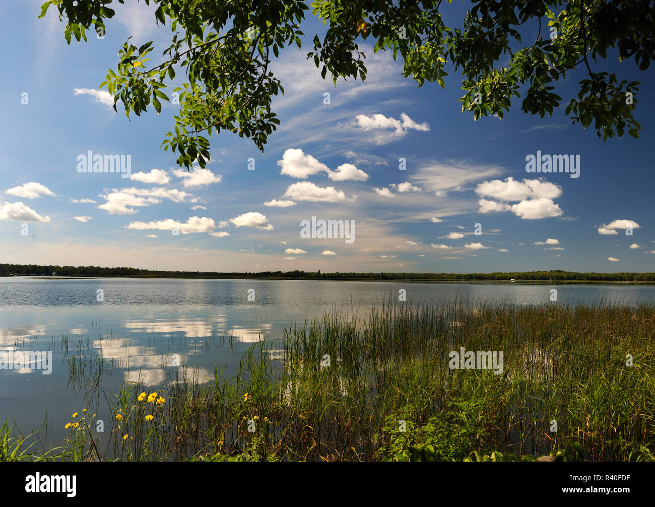 See Waukaunabo, Minnesota Stockfoto