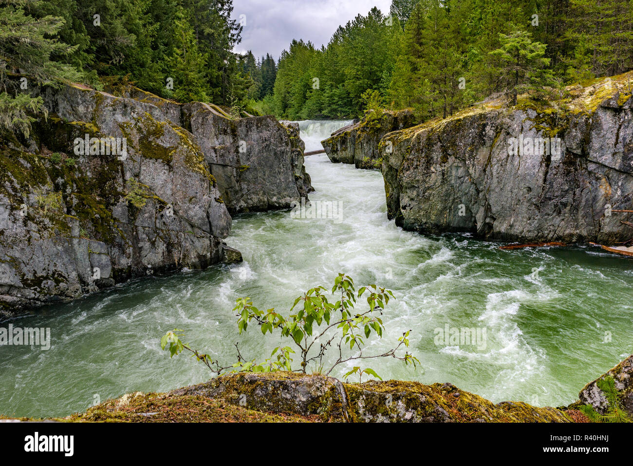 Cheakamus Fluss, Whistler, British Columbia, Kanada. Stockfoto