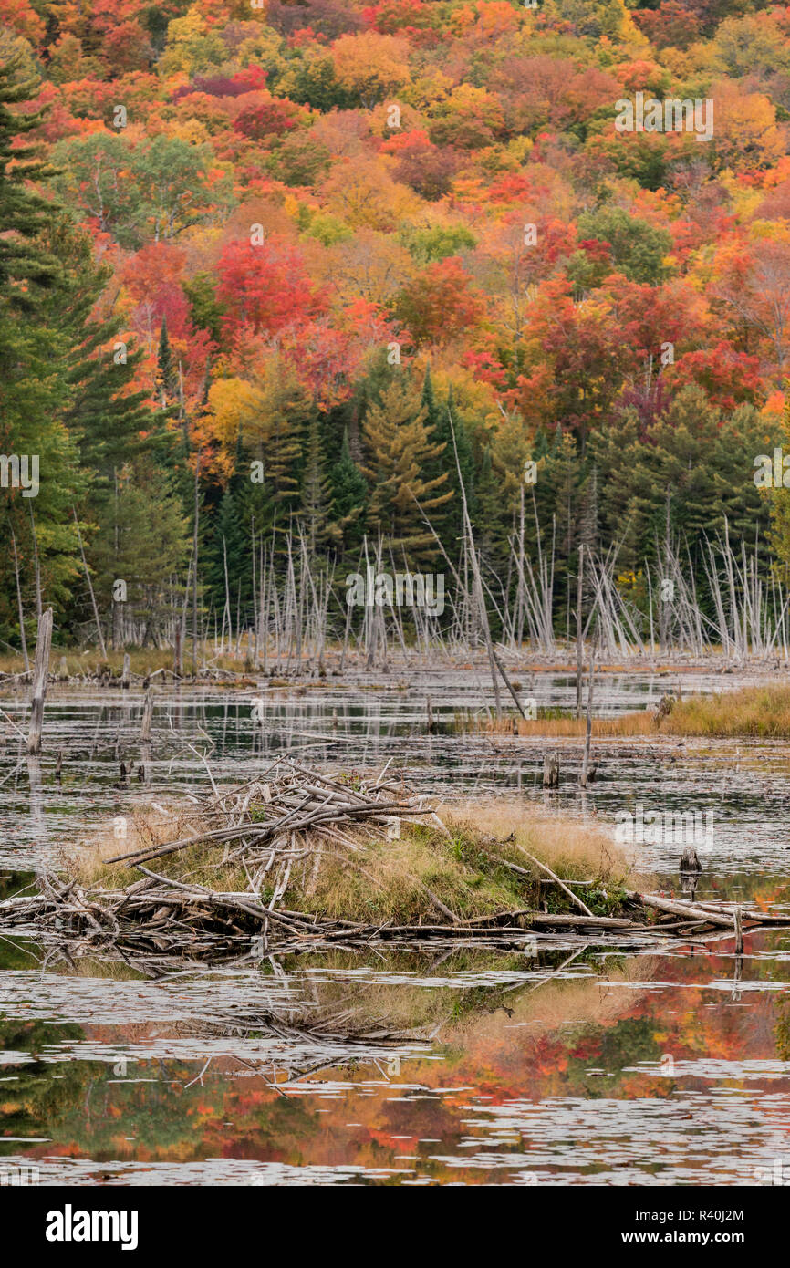 Adirondack, New York, USA Stockfoto