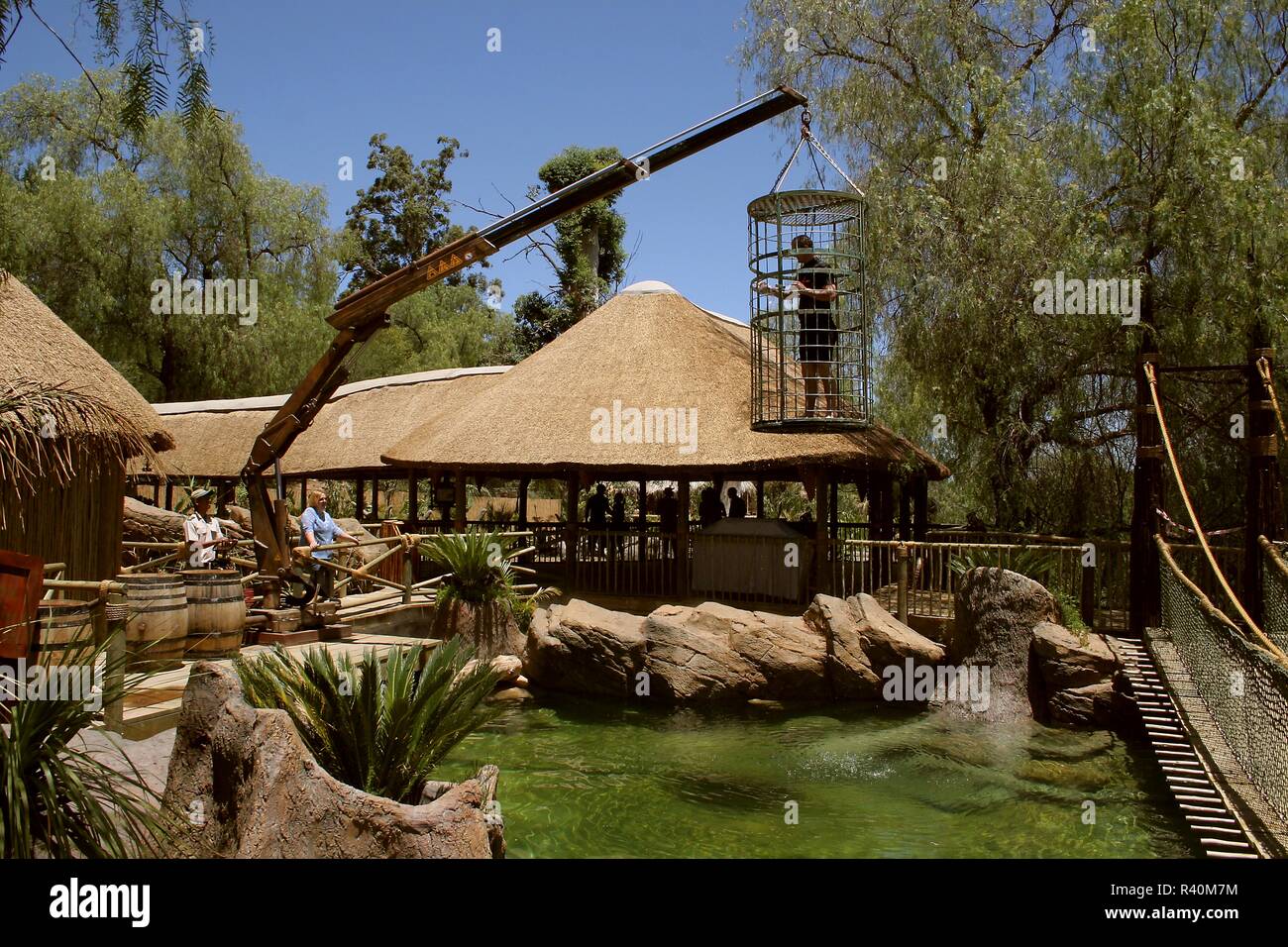 Krokodil, Cage, Tauchen, Oudtshoorn, Südafrika Stockfoto
