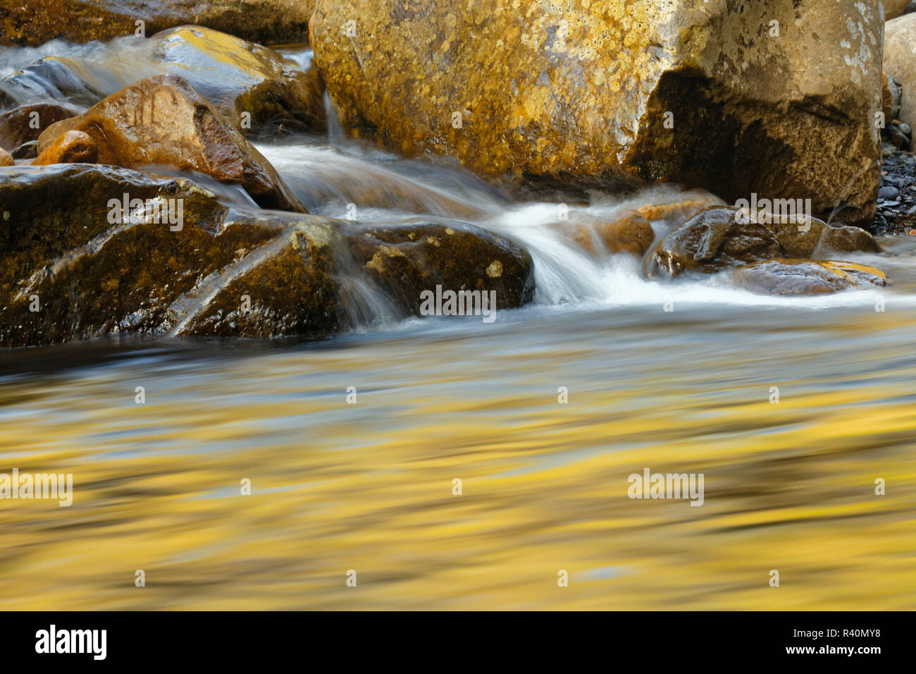 Frühling Farben auf, West Prong der Little Pigeon River, Great Smoky Mountains National Park, Tennessee widerspiegelt Stockfoto