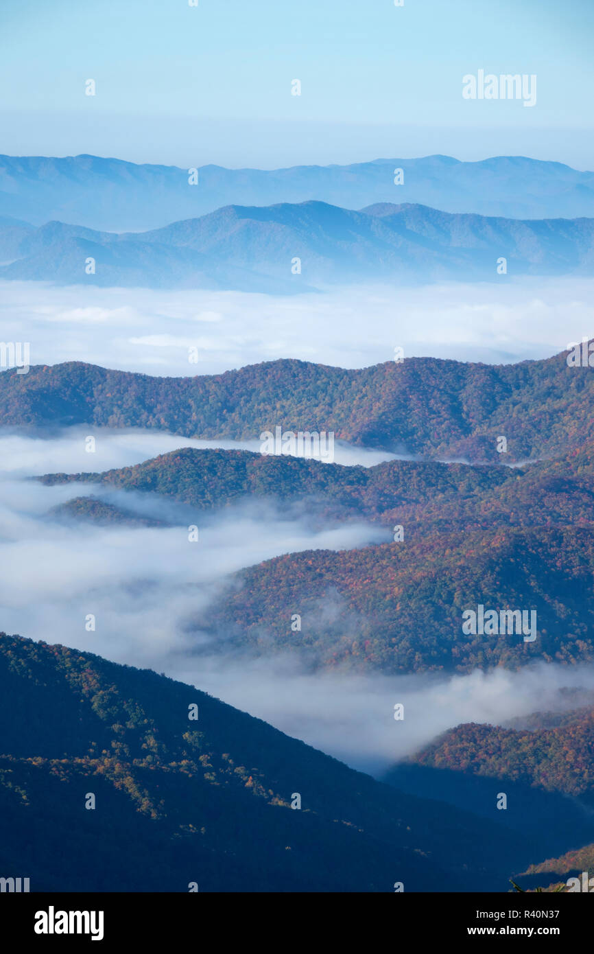 Berg steigen über Morgennebel, Blick vom Clingmans Dome, Great Smoky Mountains National Park, Tennessee Stockfoto