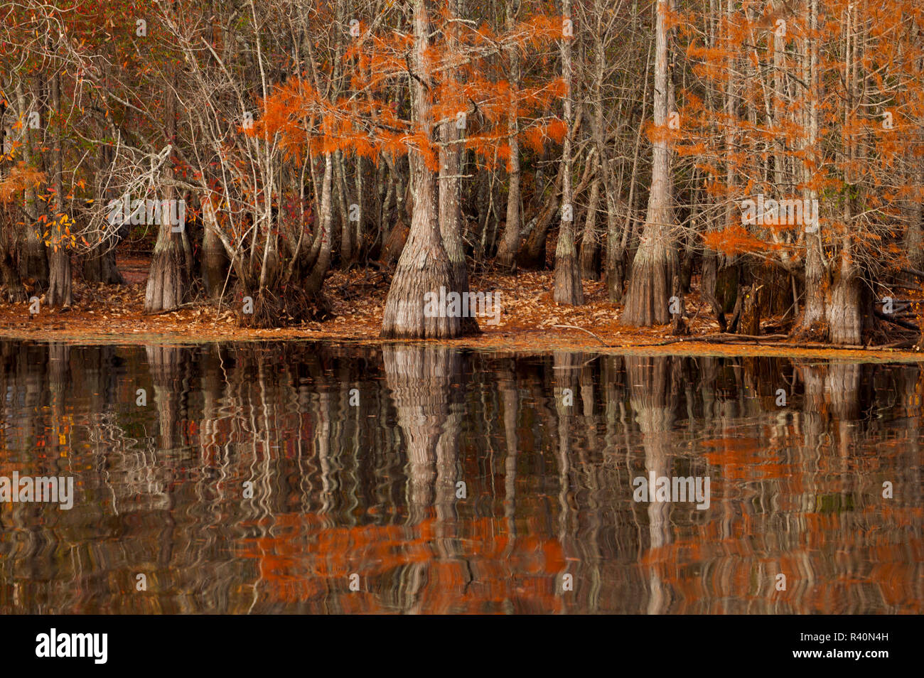 Twin city Fotos und Bildmaterial in hoher Auflösung Alamy