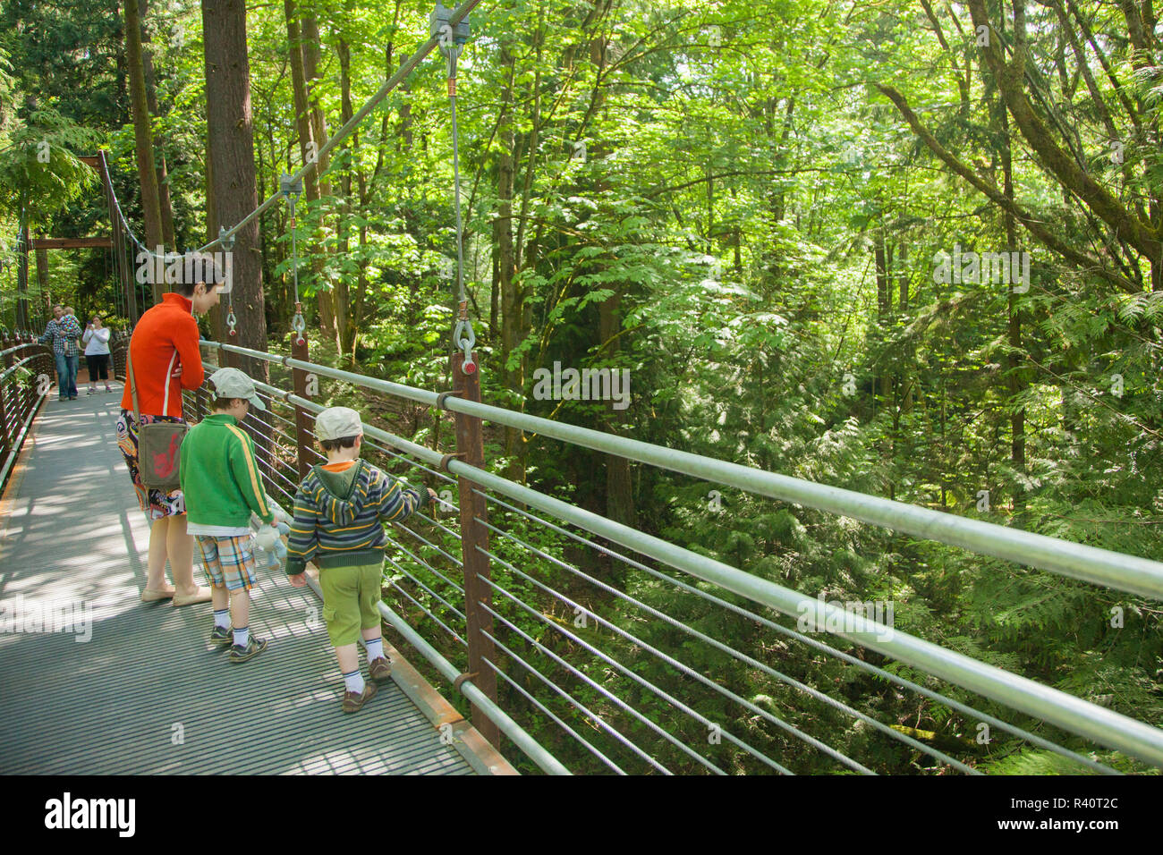 USA, Washington State, Bellevue, Bellevue Botanischen Garten, einer Schlucht Erfahrung Suspension Bridge Stockfoto