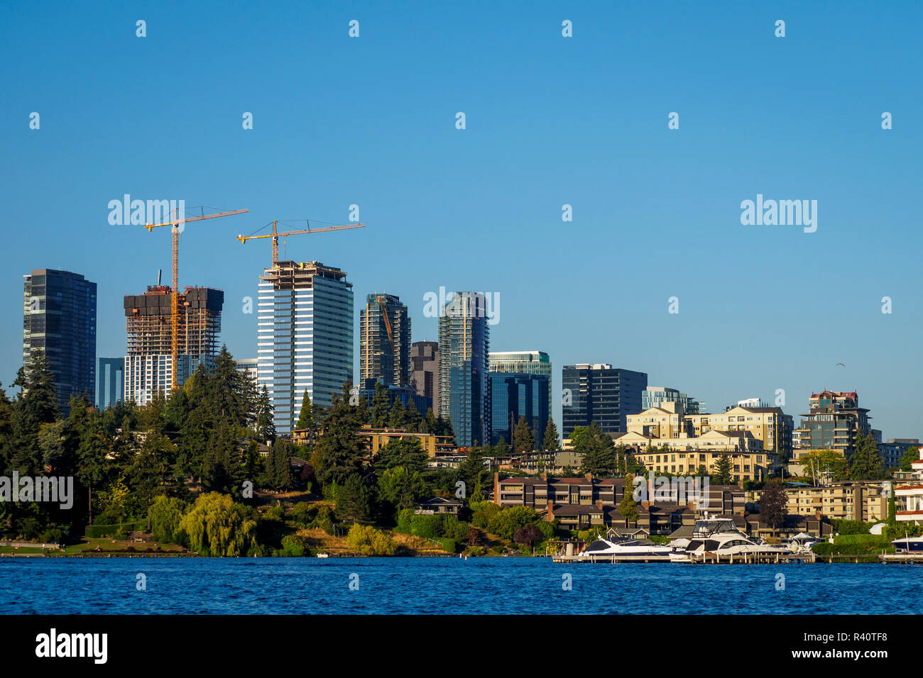 USA, Washington State, Bellevue. Blick auf die Skyline vom Lake Washington. Stockfoto