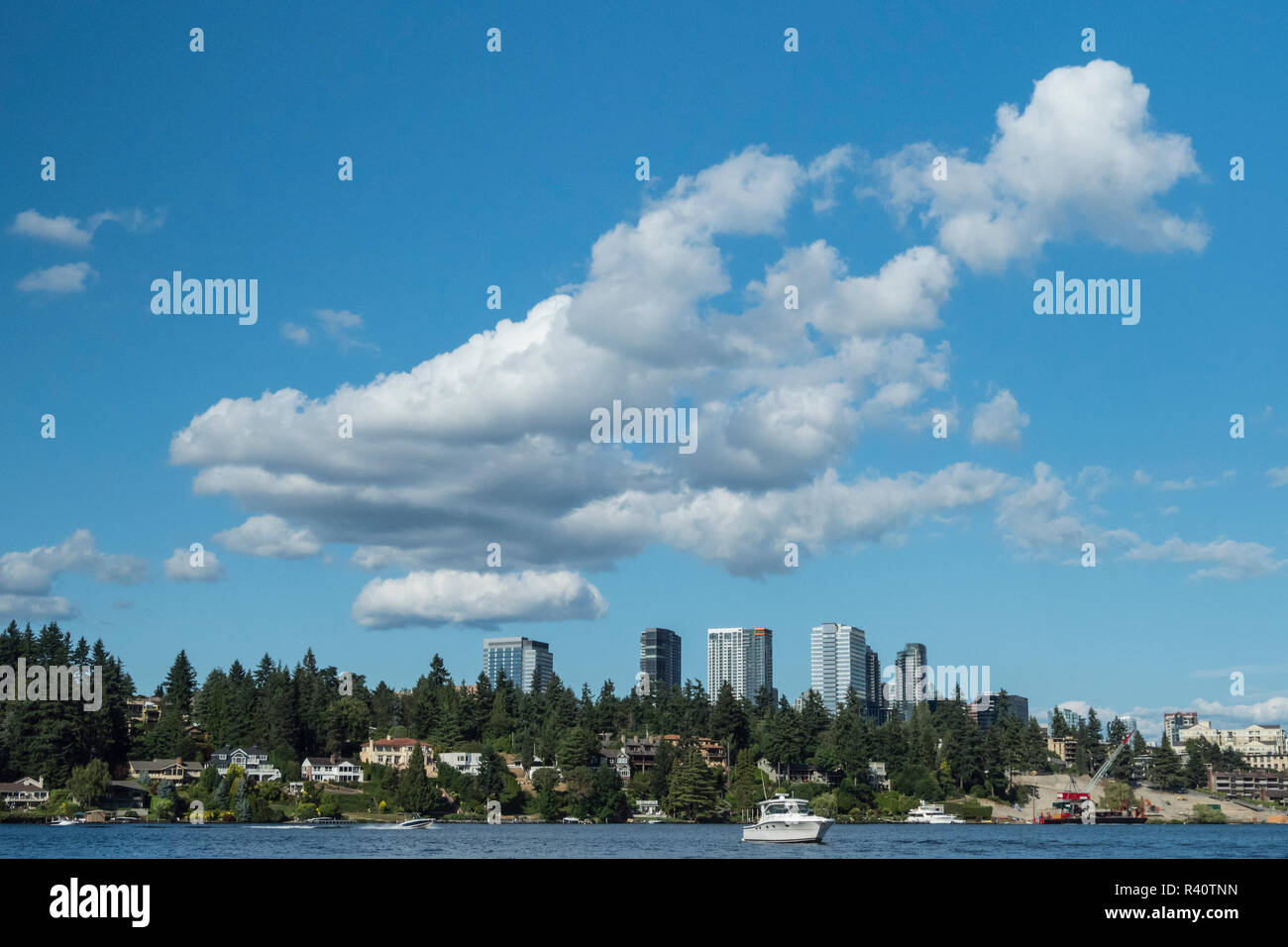 USA, Washington State, Bellevue. Skyline vom Lake Washington. Stockfoto