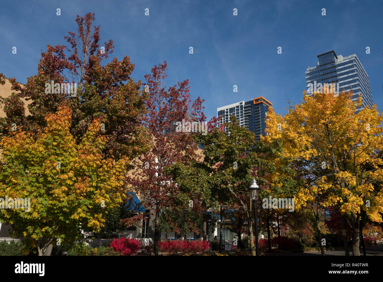 USA, Washington State, Bellevue Stockfoto