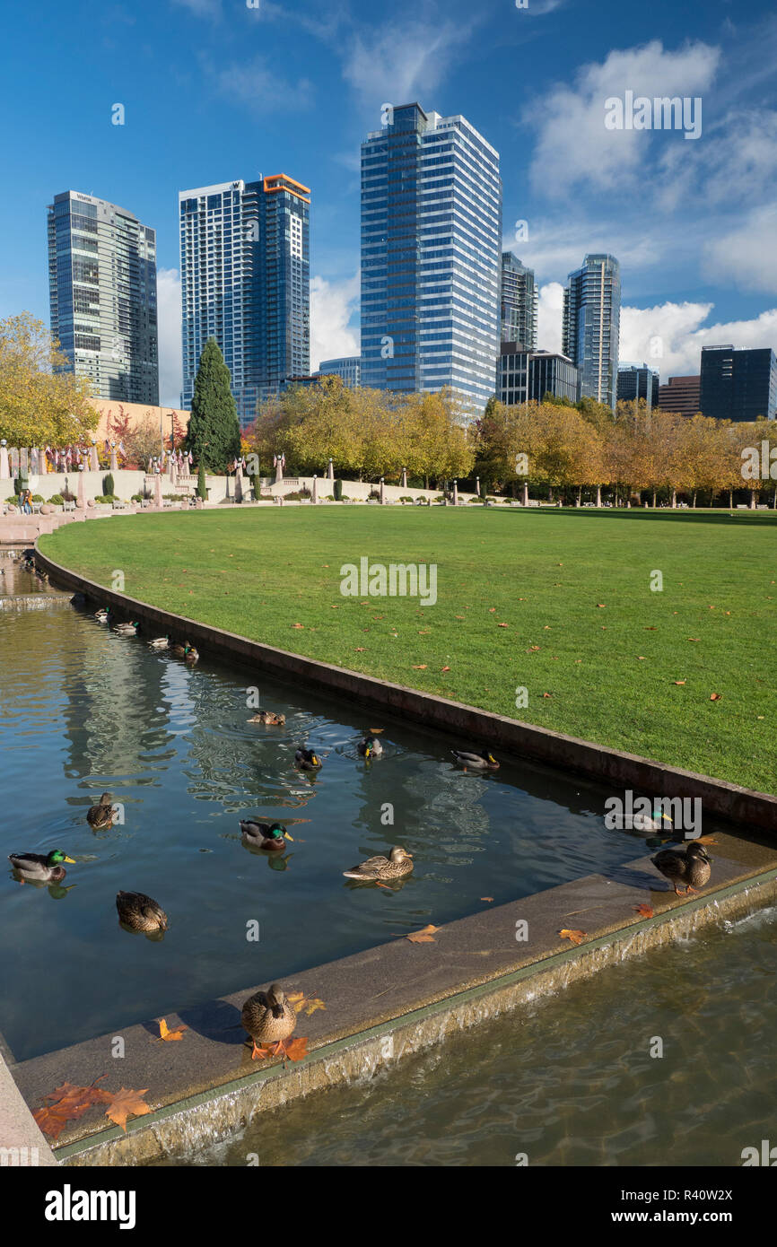 USA, Washington State, Bellevue, Bellevue Downtown Park Stockfoto