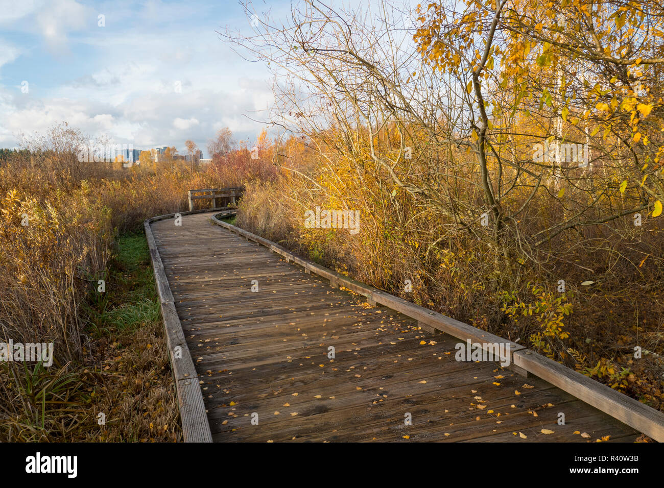USA, Washington State, Bellevue. Mercer Slough Natur Park Boardwalk. Stockfoto