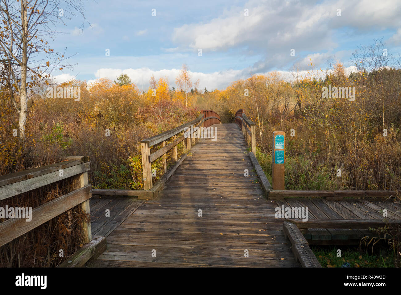 USA, Washington State, Bellevue. Mercer Slough Natur Park Boardwalk. Stockfoto