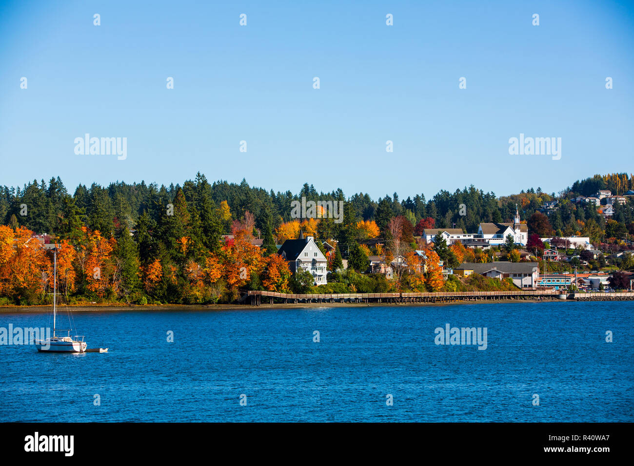 Poulsbo, Washington State. Blick auf das Wasser der Stadt Poulsbo, ein Segelboot, und Bäume im Herbst Stockfoto