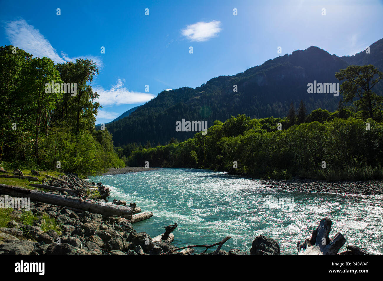 Jefferson County, Washington State. Der Olympische National Park, Elwha River Elwha Valley Stockfoto