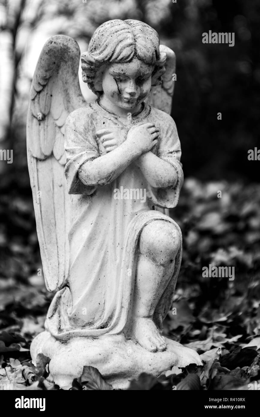 Statue von ein Engel auf Friedhof in Berlin Frohnau Stockfoto