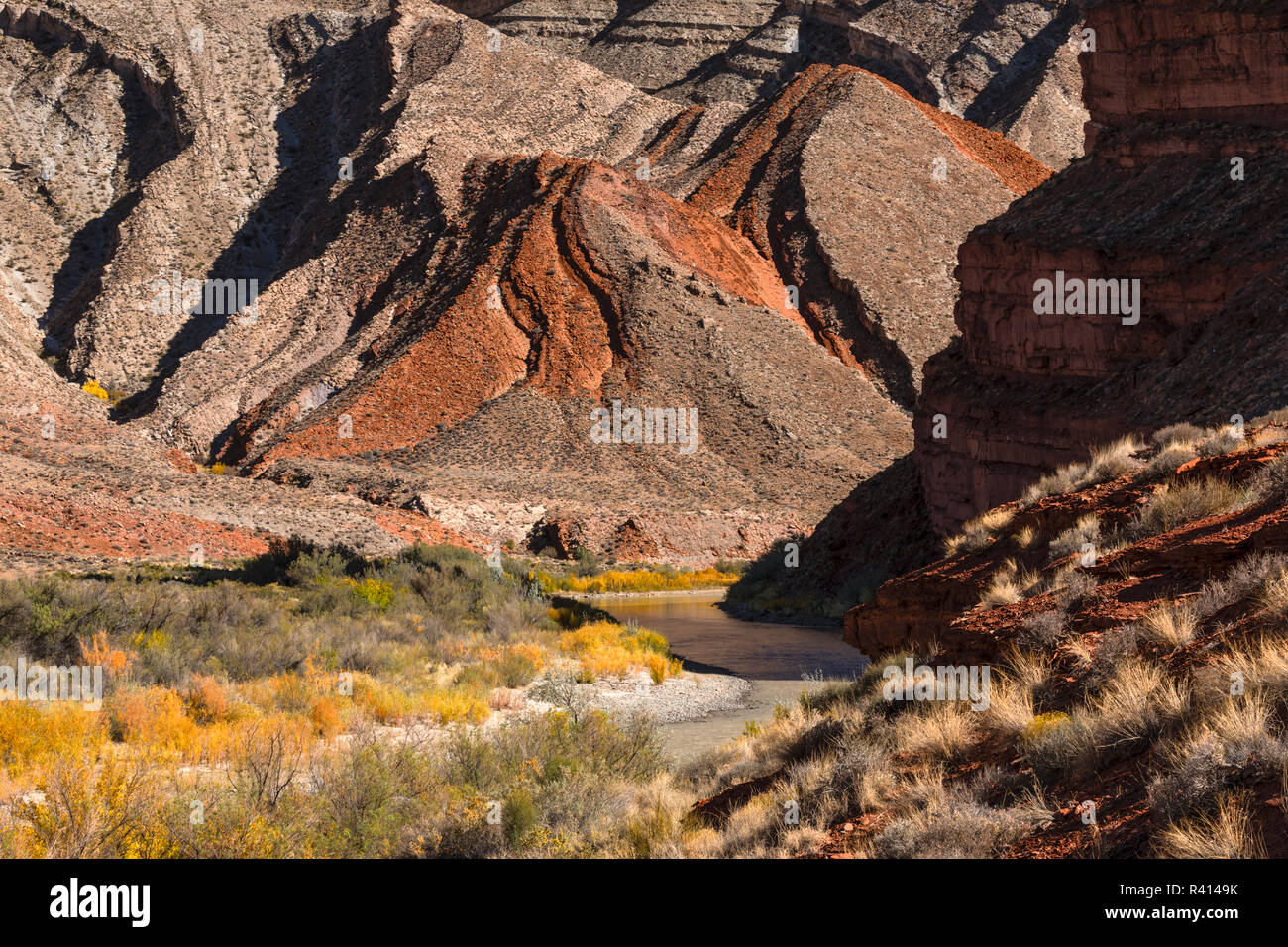 Felsformationen entlang dem San Juan River, Mexican Hat, San Juan County, Utah Stockfoto