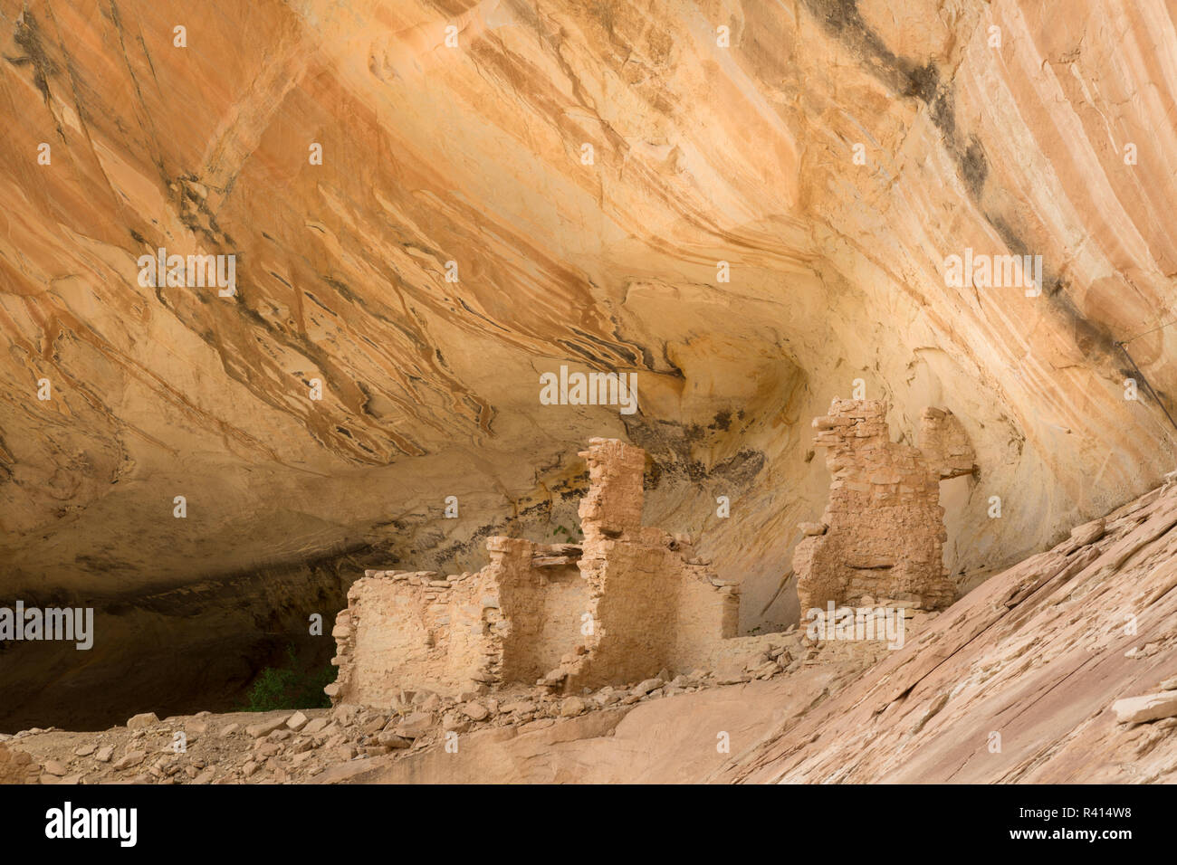 USA, Utah, Bären Ohren National Monument. Monarch Höhle Ruinen der Anasazi Indianer links. Stockfoto