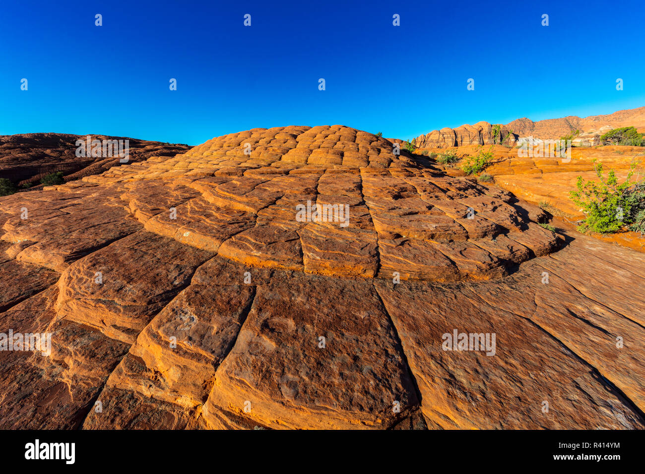 Versteinerte Sanddünen bei Snow Canyon State Park in der Nähe von St. George, Utah, USA Stockfoto