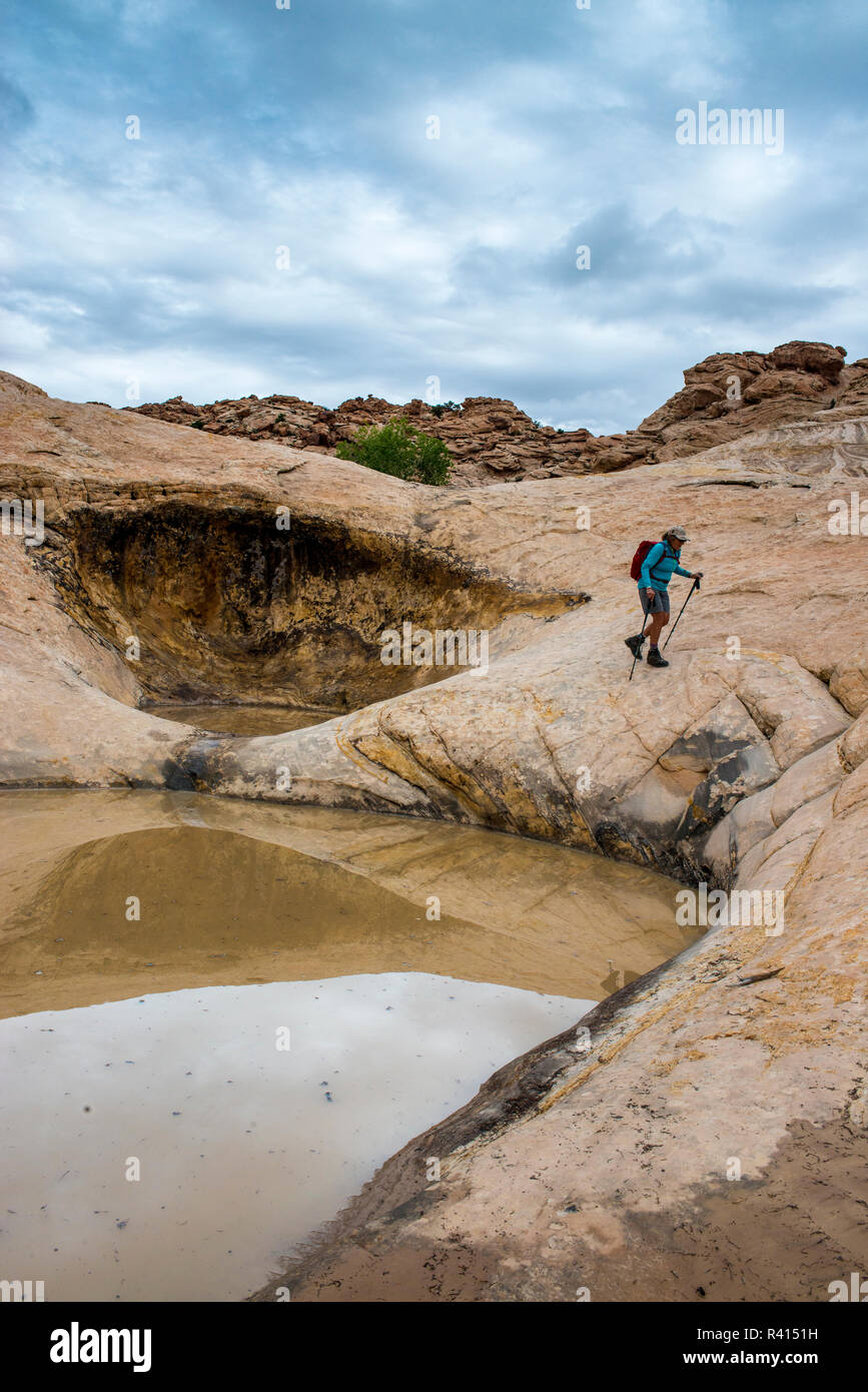 Wanderer und Pool im San Rafael Swell, Utah (MR) Stockfoto
