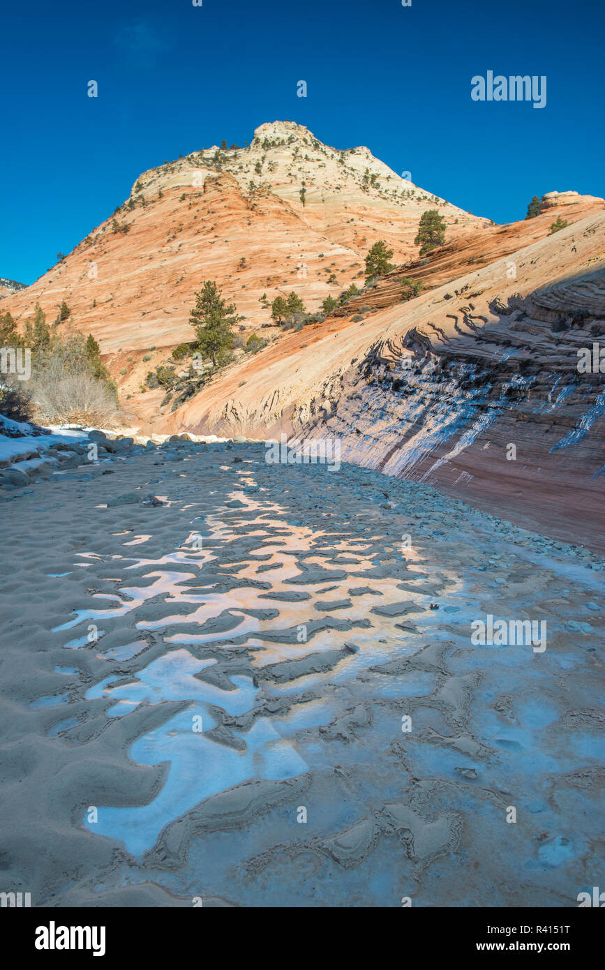 Eis in der Wüste, Zion National Park, Utah Stockfoto