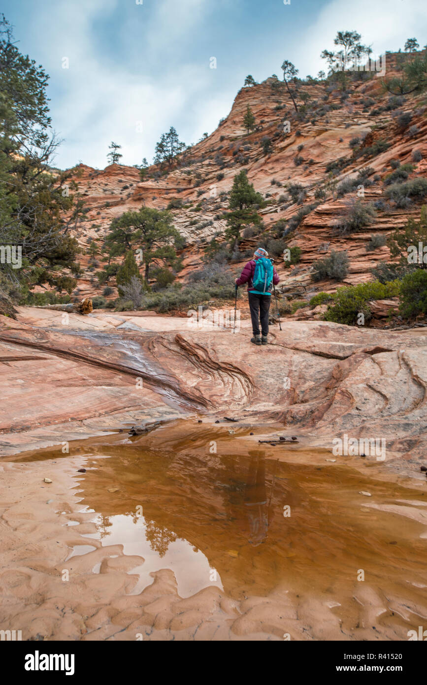 Wanderer geniessen Zion National Park im Winter, Utah (MR) Stockfoto