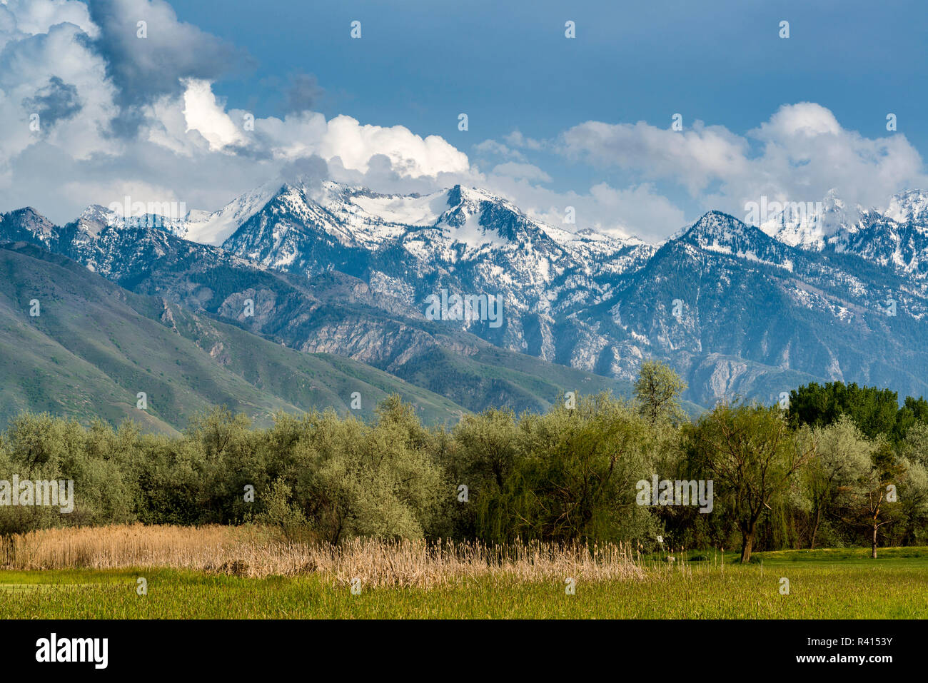 Ansicht der Wasatch Mountains von Wheeler Farm, Murray, Utah Stockfoto
