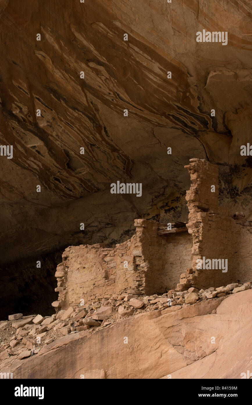 USA, Utah. Monarch Höhle Ruinen, Bären Ohren National Monument Stockfoto