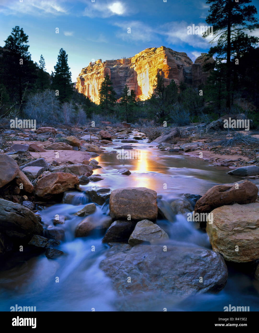 Bären Ohren National Monument in Utah. USA. Creek in Arch Canyon. Manti-La Sal National Forest. Colorado Plateau. Stockfoto