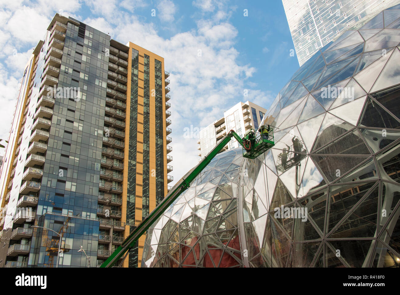 USA, Washington, Seattle. Amazon Biosphären im Bau Seattle. Prüfsiegel  holding Glas Dreiecke Stockfoto, Bild: 226222052 - Alamy