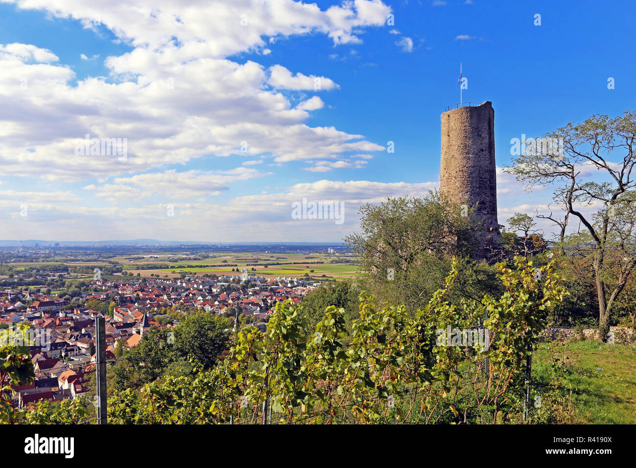 Strahlenburg auf dem Ölberg über schriesheim Stockfoto