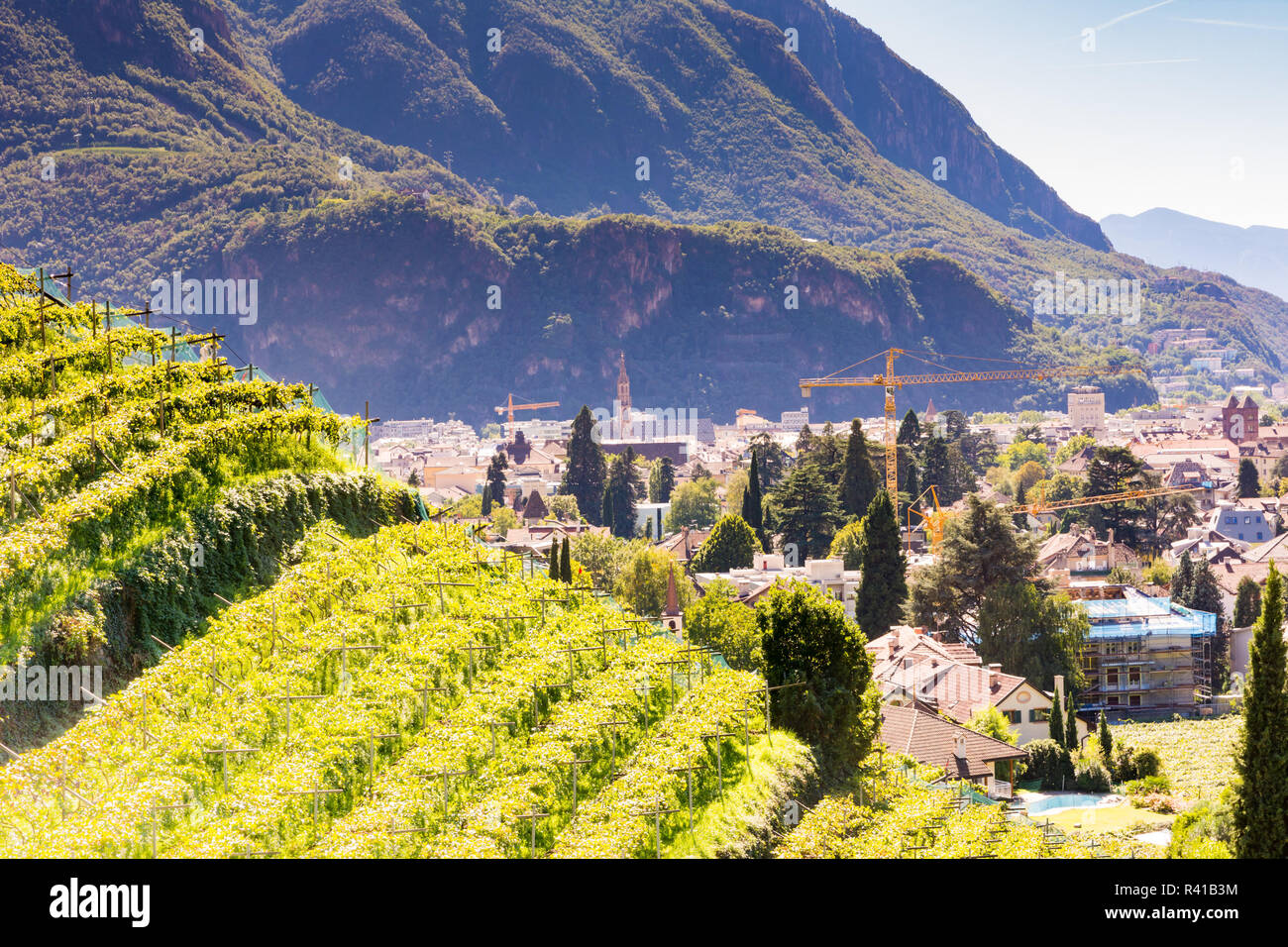 Blick über Bozen Stockfoto