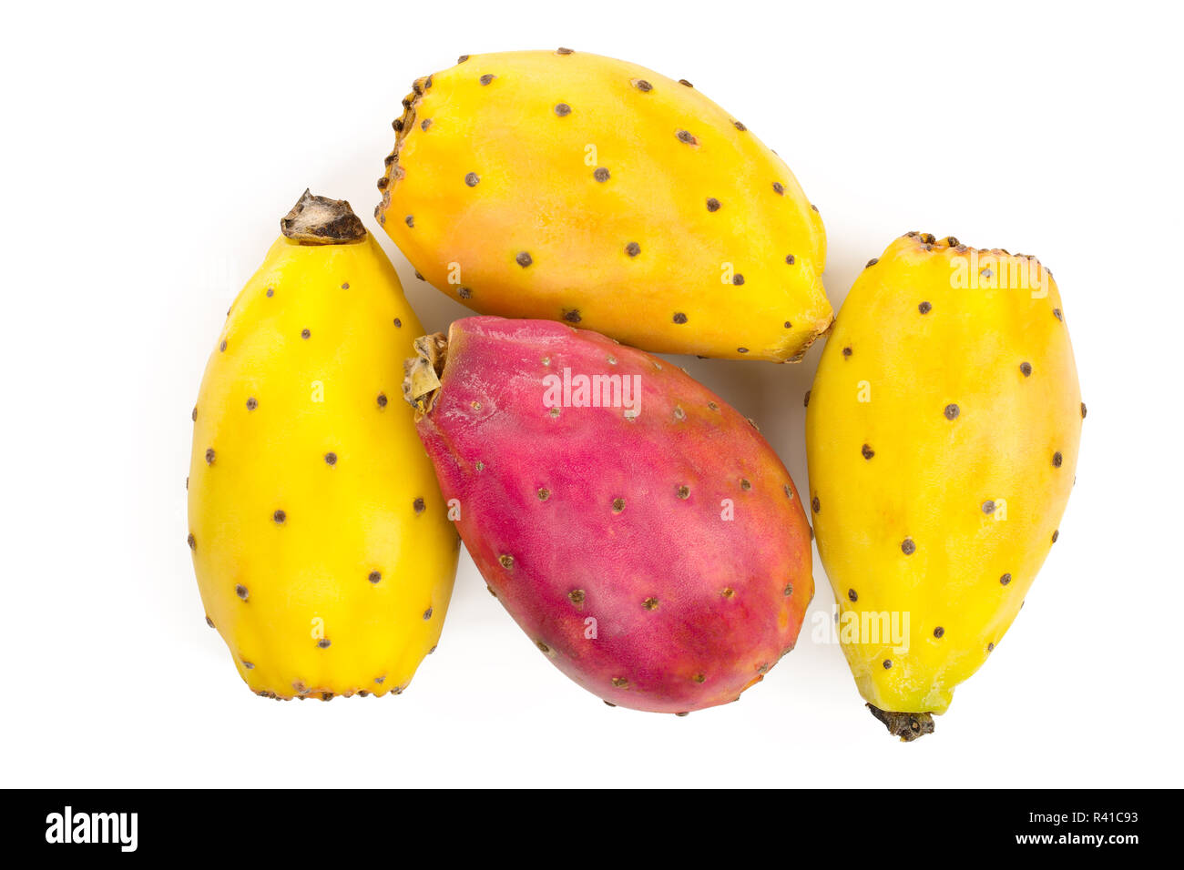 Rot Gelb kaktusfeige oder Opuntia auf einem weißen Hintergrund. Ansicht von oben. Flach Stockfoto