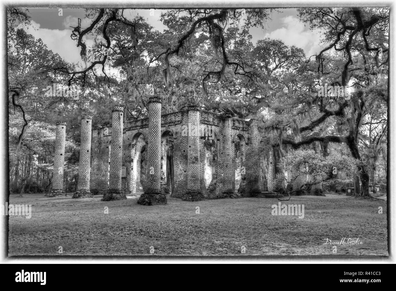 Die Ruinen der alten Sheldon Kirche, South Carolina Stockfoto