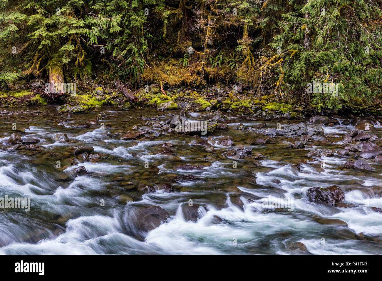 Sol Duc Fluss in Olympic National Park, Washington State, USA Stockfoto