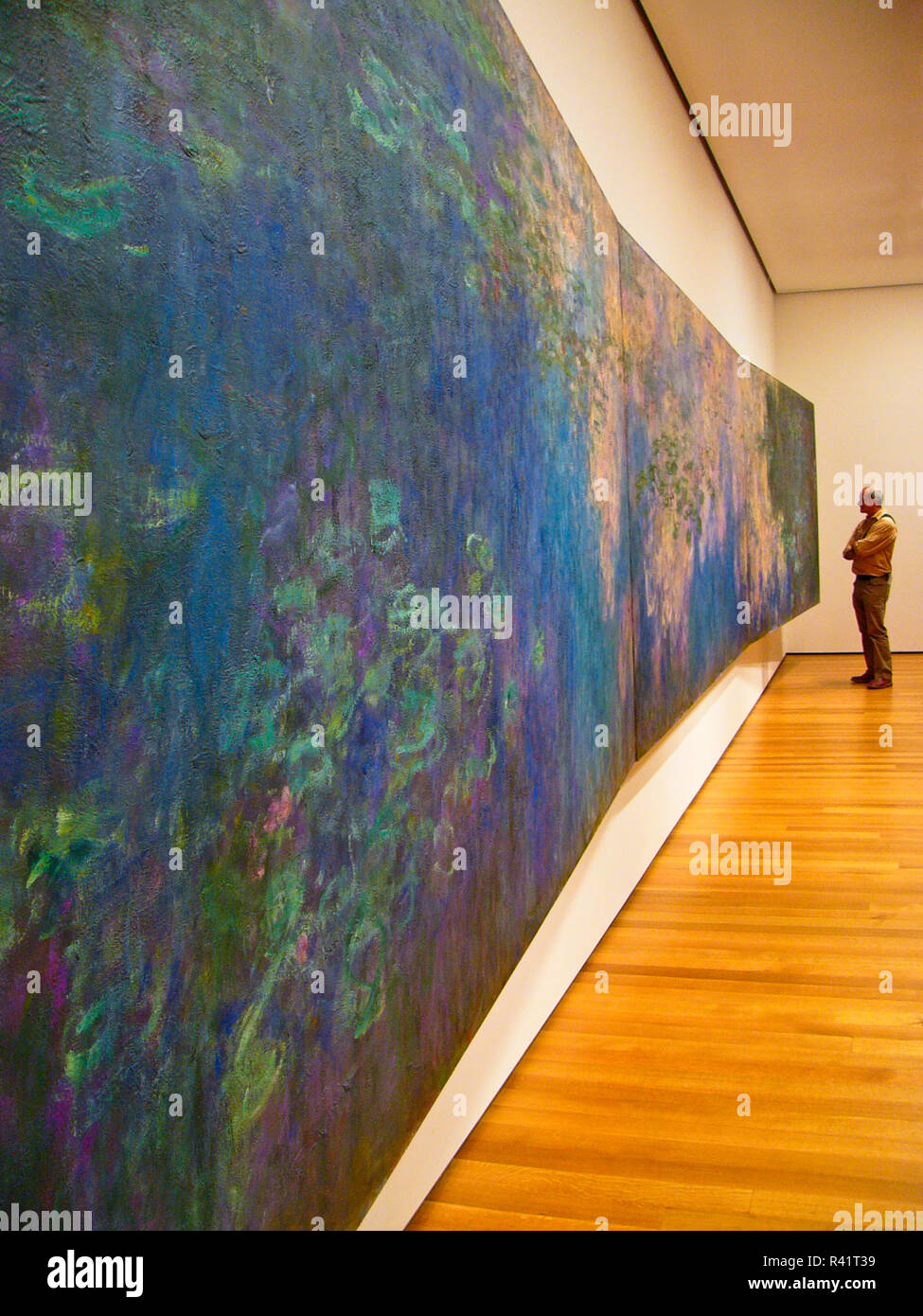 solo paraply sælger Ein Mann beobachtet Monets "Seerosen" im Museum of Modern Art (MOMA) in New  York City Stockfotografie - Alamy