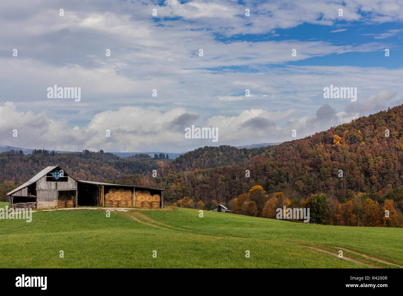 Scheune in der Weide im Randolph County, West Virginia, USA Stockfoto