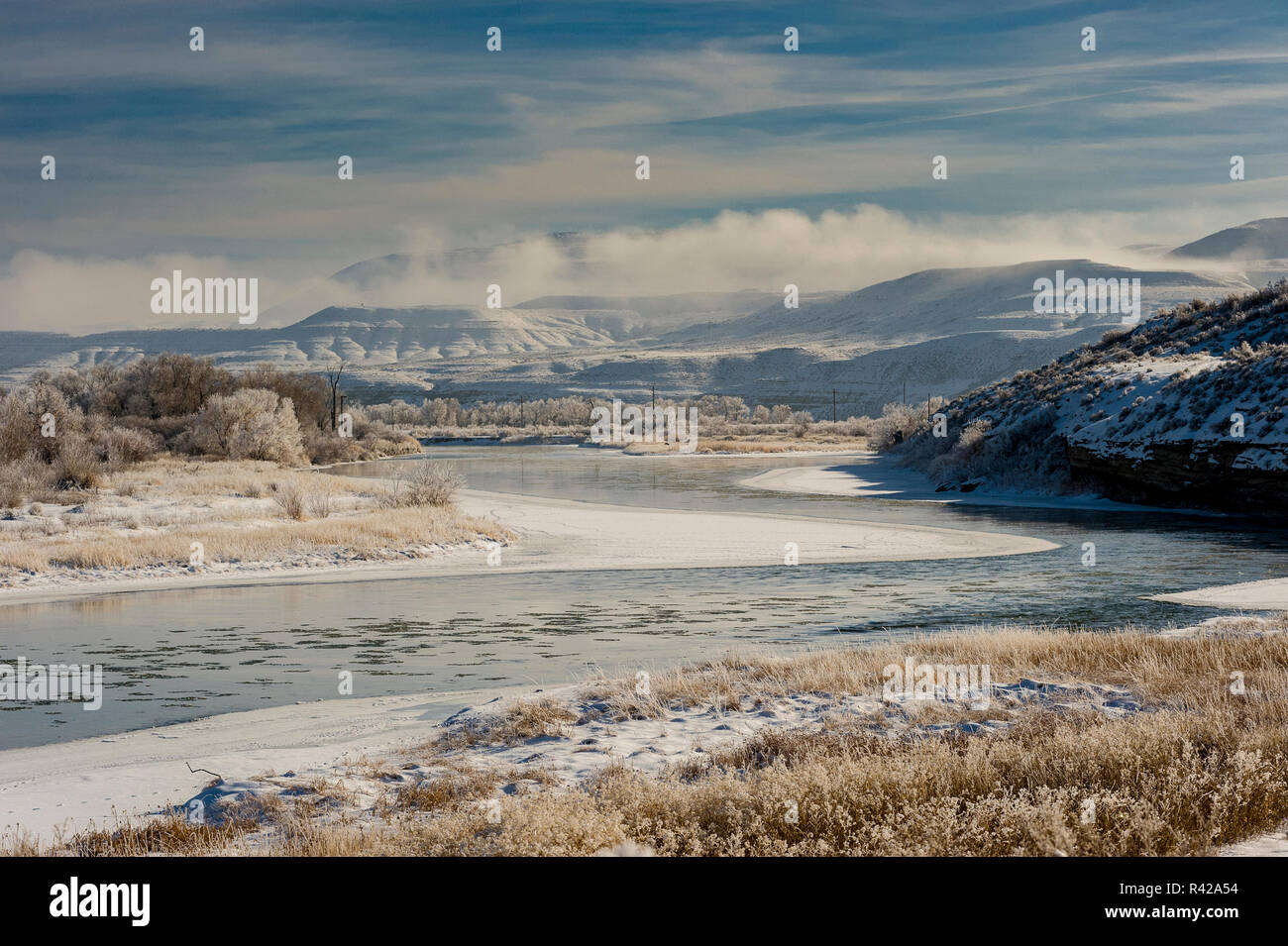 Cottonwood Bäumen und grünen Fluss in einen Wintermantel, Wyoming Stockfoto