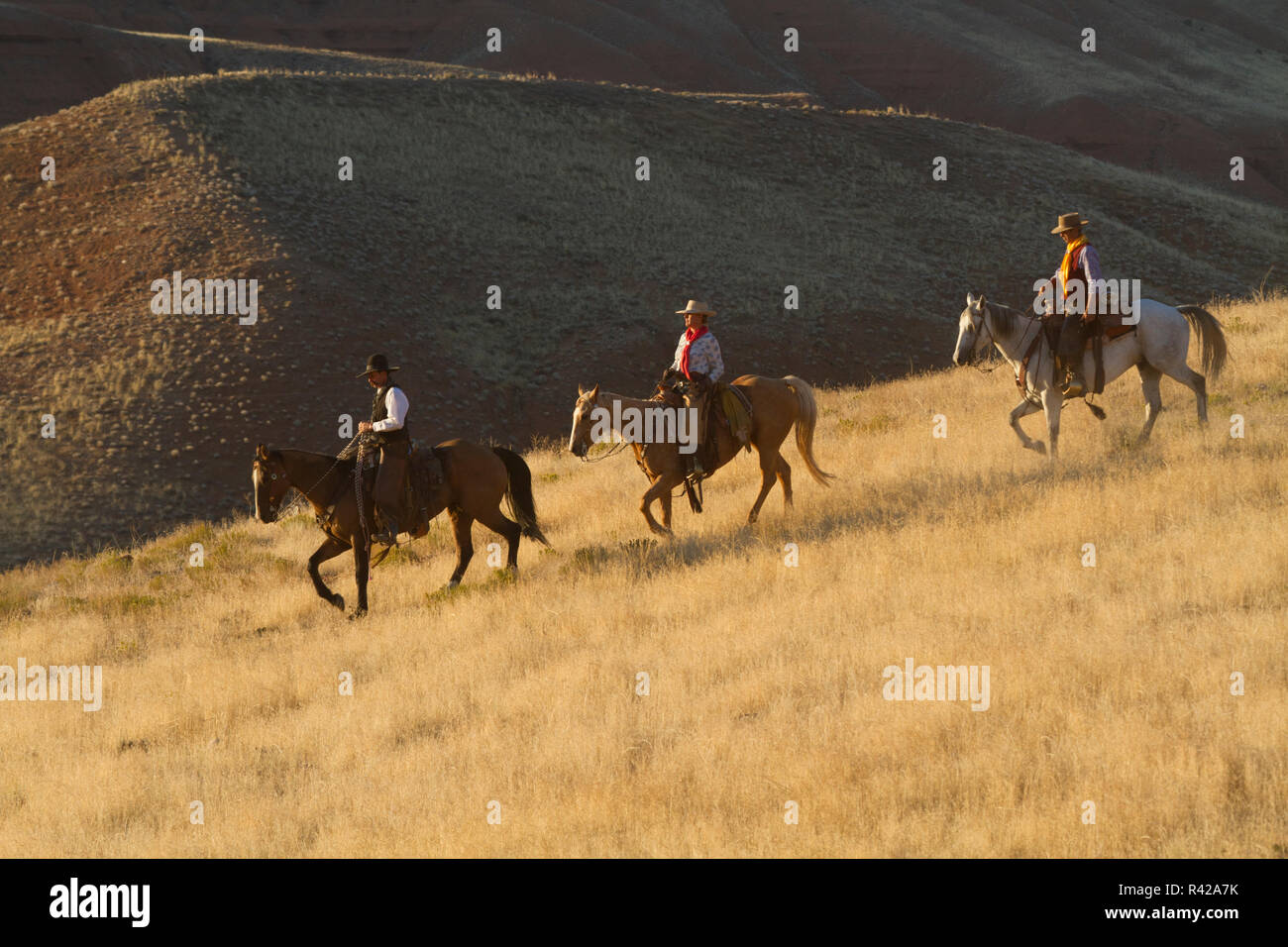 USA, Wyoming, Shell, das Versteck Ranch, Cowboy und Cowgirl reiten Pferde in das Goldene Licht am Ende des Tages (MR, PR) Stockfoto