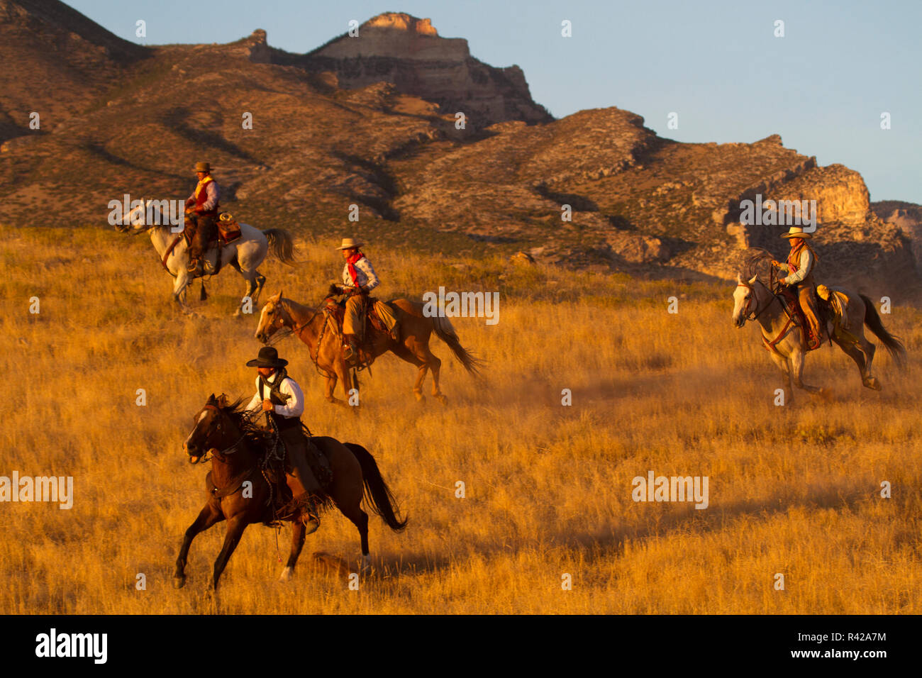 USA, Wyoming, Shell, das Versteck Ranch, goldene Licht auf Cowboy und Cowgirl (MR, PR) Stockfoto