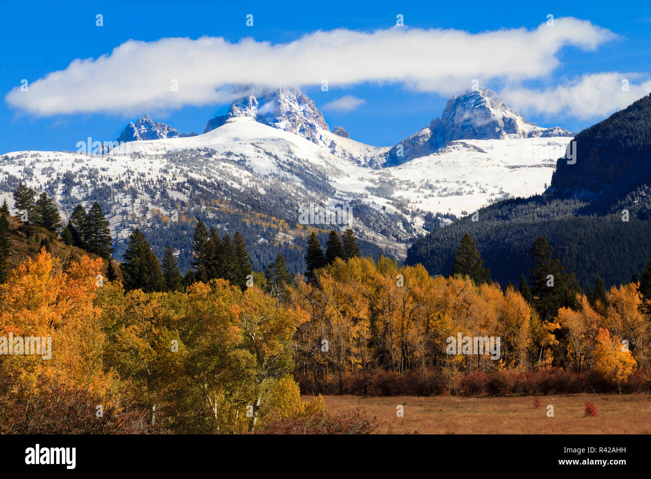 USA, Wyoming. Blick auf den Teton Bergkette von Teton Canyon nach dem ersten Schnee im Herbst. Stockfoto