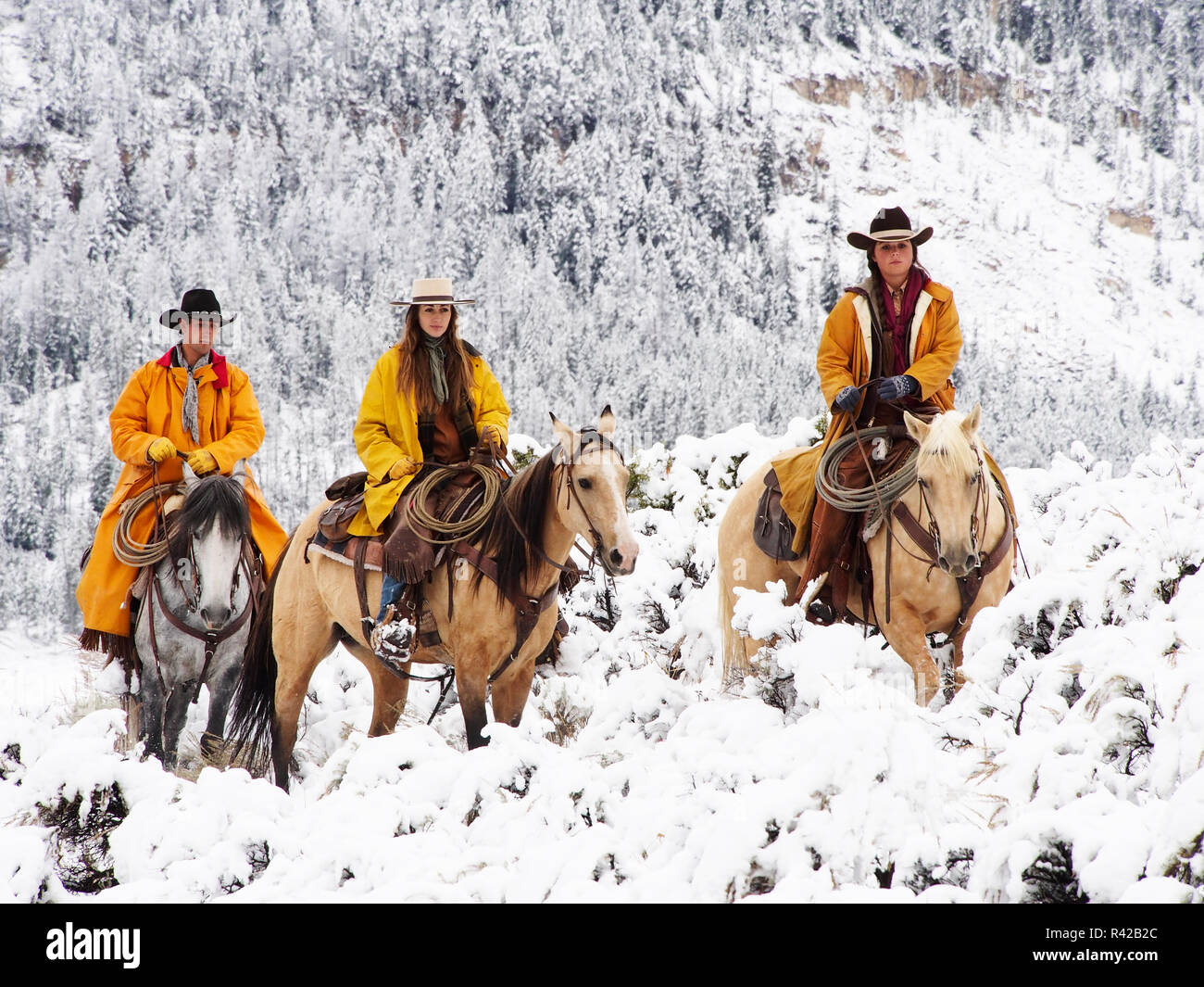 USA, Wyoming, Shell, Big Horn Mountains, Cowgirl und Cowboy reiten im Herbst Espen mit frischem Schneefall (MR) Stockfoto
