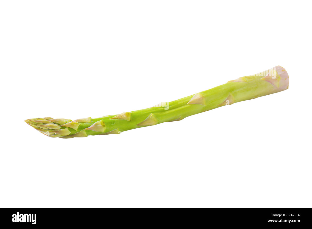 Frischer Spargel Stockfoto