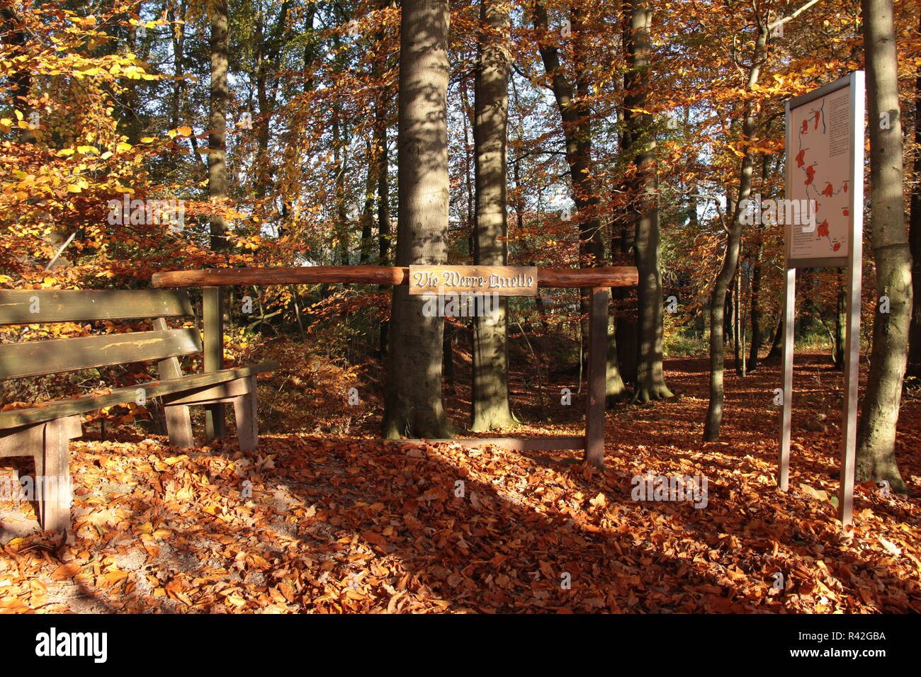 Quellgebiet Wehre bei Bad Meinberg Stockfoto