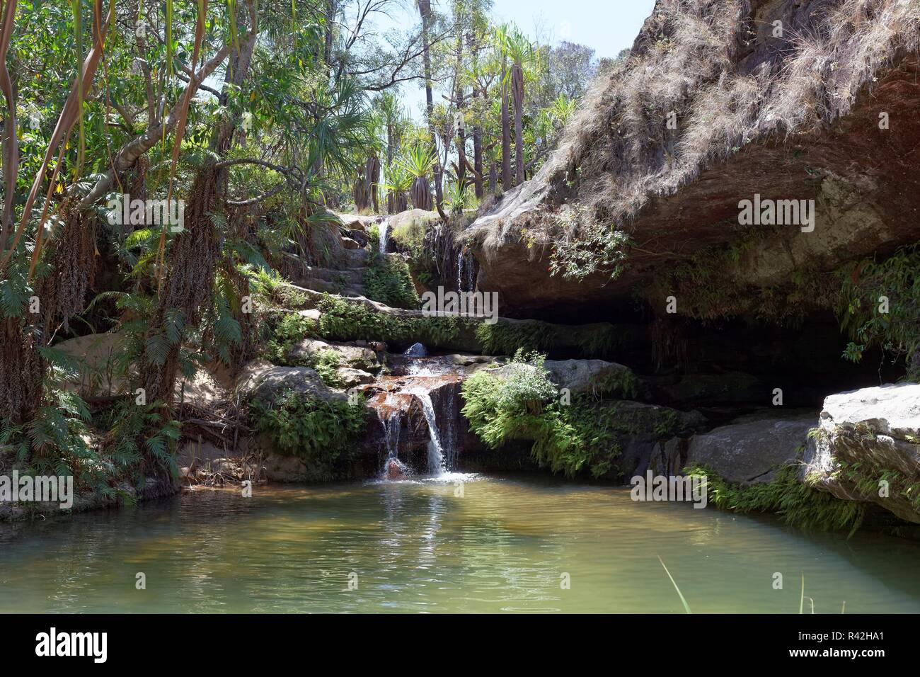 Piscine naturel im isalo Gebirge Stockfoto