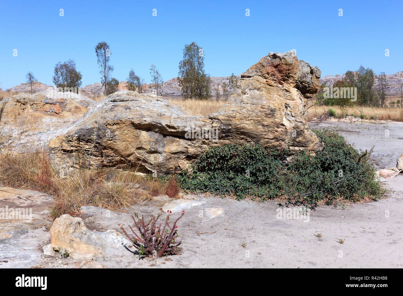 Lions Rock im isalo Gebirge Stockfoto